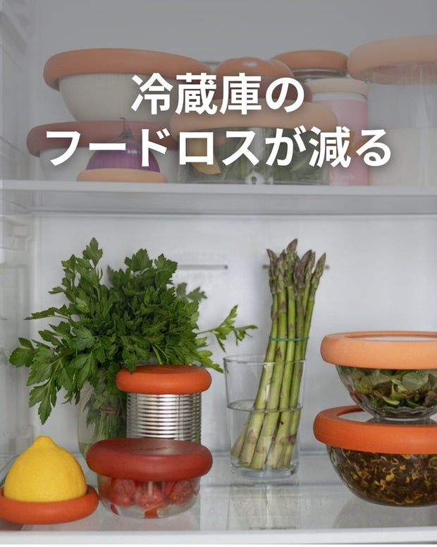 冷蔵庫の中が見わたせる