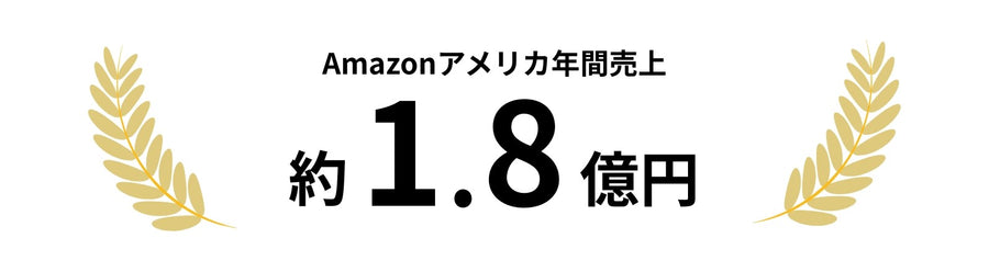 Amazonアメリカ年間売上 猄1.8億円